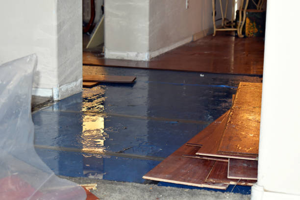 Professional Water Damage Restoration technician working in Clyde, TX